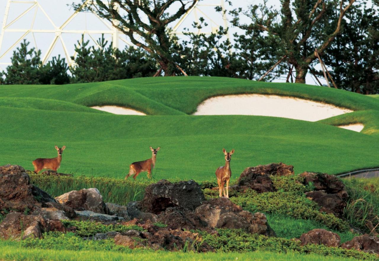 Ardenhill Resort & Golf Jeju Exterior photo